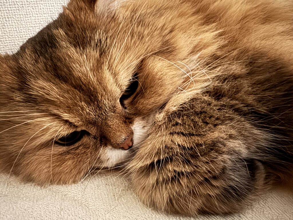 miu/通所6日目/神奈川（相模原）の就労継続支援B型エルズエフ