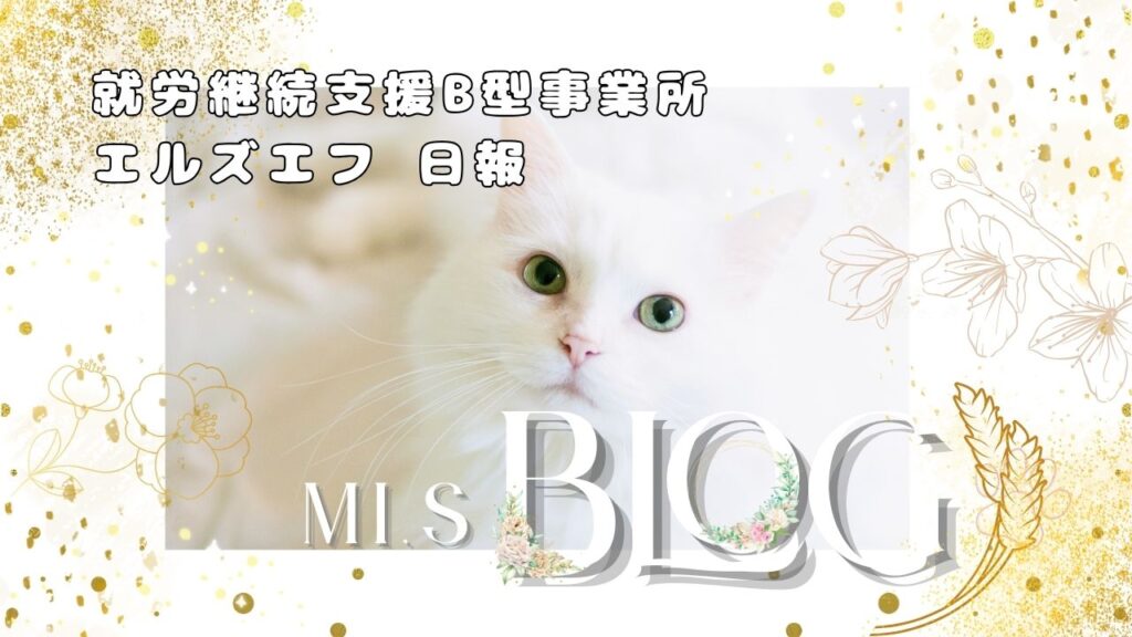 MI/通所50日目/神奈川（相模原）の就労継続支援B型エルズエフ